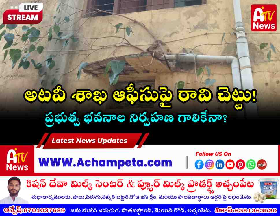 అచ్చంపేట అటవీ శాఖ కార్యాలయంపై మొలకెత్తిన రావి చెట్టు