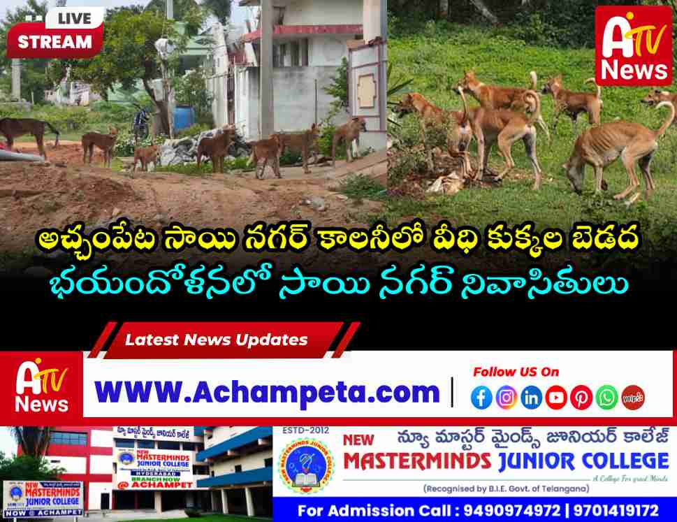 Stray dogs roaming in Sai Nagar Colony Achampet