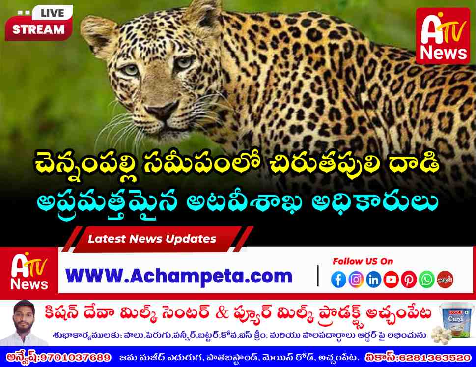 లింగాల మండలంలో చిరుతపులి దాడి: గొర్లకాపరి వీరయ్యకు తీవ్ర గాయాలు