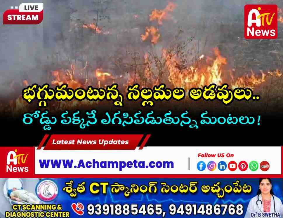 Nallamala Forest Enriched by Raging Wildfire: Serious Official Apathy Alleged in Amrabad Range