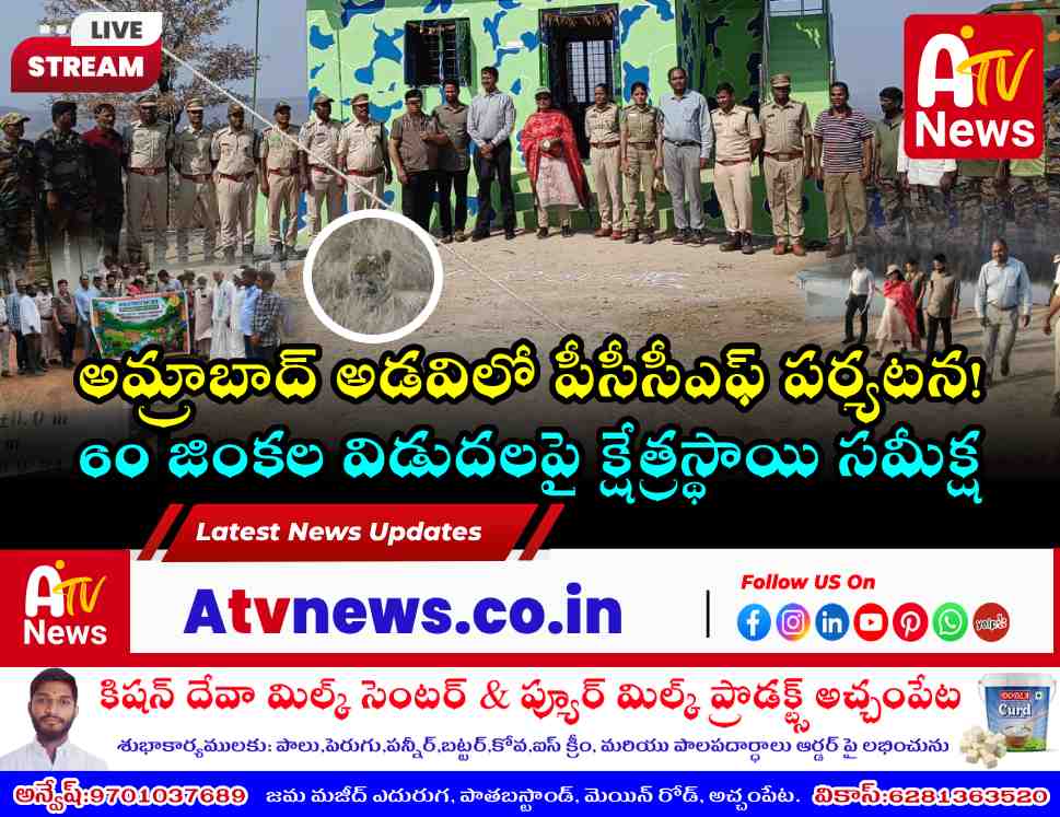 అమ్రాబాద్ టైగర్ రిజర్వ్‌లో పీసీసీఎఫ్ డాక్టర్ సువర్ణ పర్యటన - పులి దర్శనం