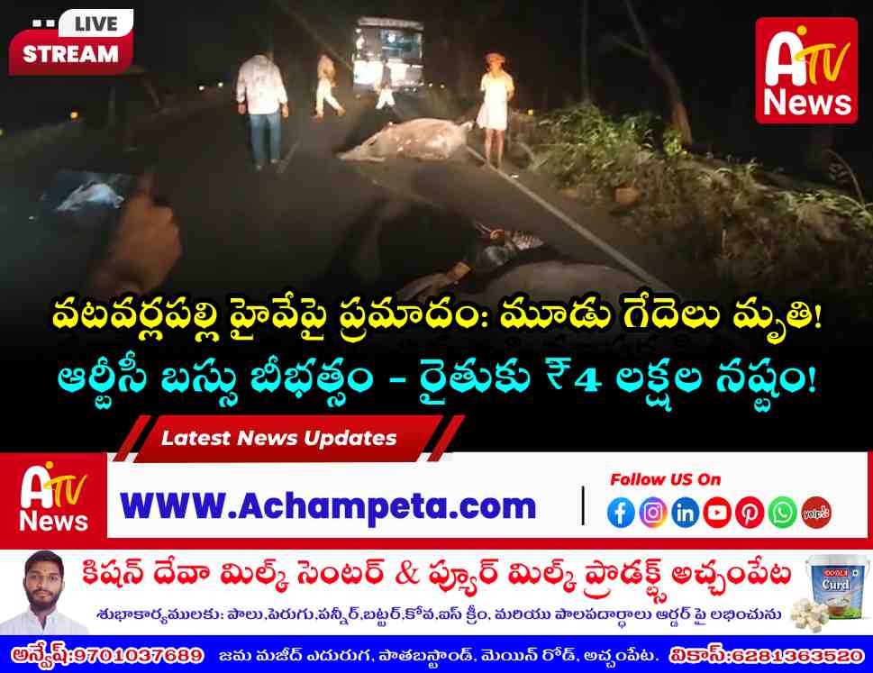 Dead buffaloes on the Srisailam-Hyderabad highway after being hit by an RTC bus.
