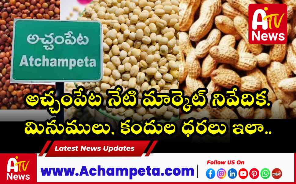 అచ్చంపేట మార్కెట్ అప్‌డేట్: వేరుశనగ క్వింటాల్ రూ. 8,629.