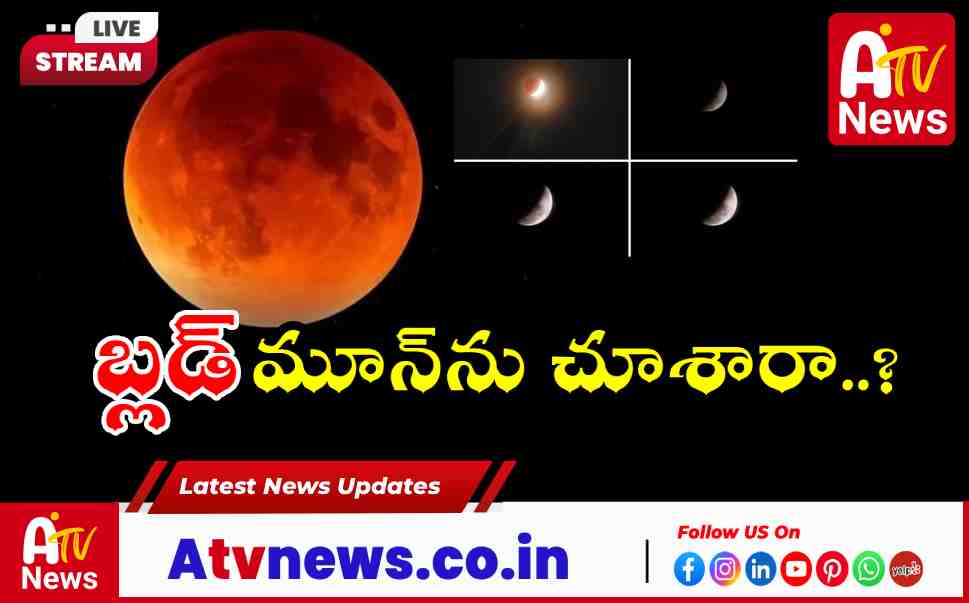 Blood Moon 2026 Stunning Photos of Total Lunar Eclipse Go Viral