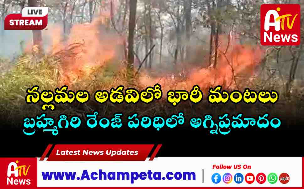 Wildfire in Nallamala Forest: Flames Spread in Brahmagiri Range Near Achampet