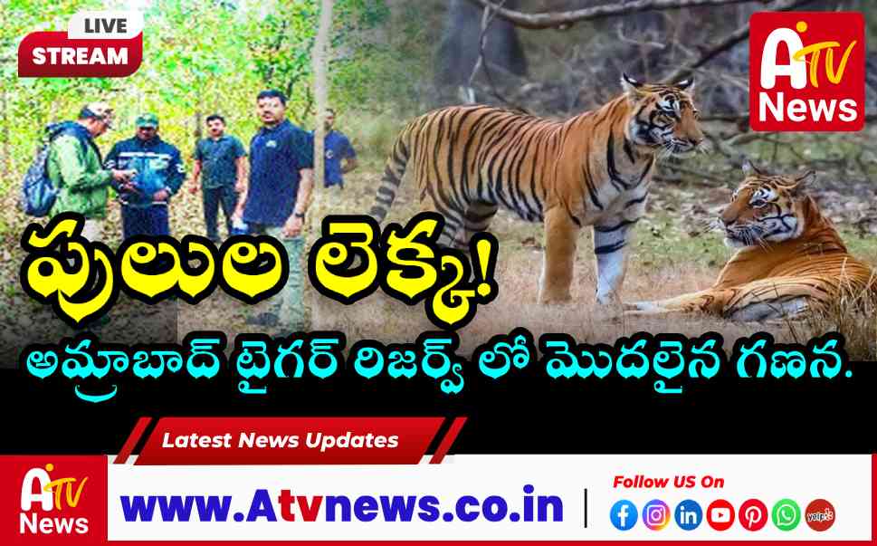 నల్లమల అడవుల్లో పులుల గణన ప్రారంభం.. అమ్రాబాద్ రేంజ్ లో అధికారుల తనిఖీ